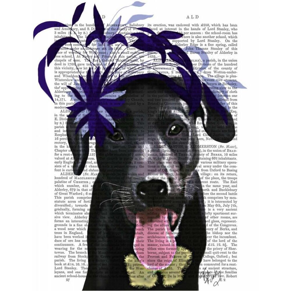 5619 Black Labrador With Blue Fascinator Poster Print- Funky Fab (24 X